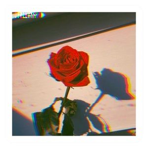 Meet your Posher, Voni